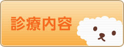 診療内容